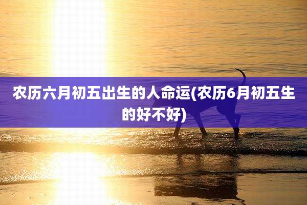 农历六月初五出生的人命运(农历6月初五生的好不好)