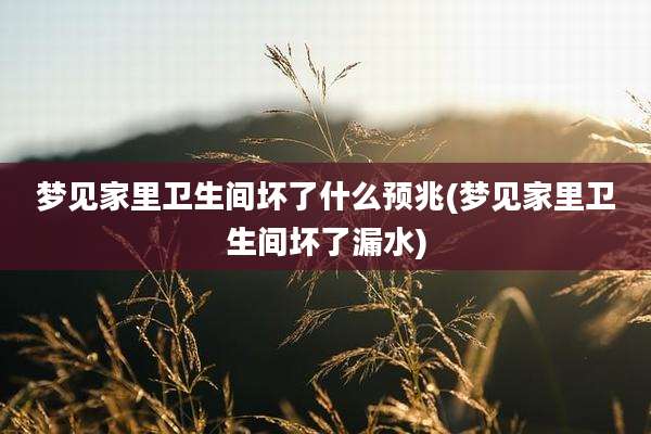 梦见家里卫生间坏了什么预兆(梦见家里卫生间坏了漏水)