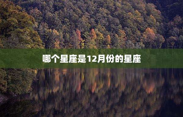 哪个星座是12月份的星座