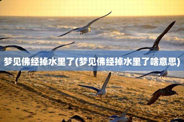 梦见佛经掉水里了(梦见佛经掉水里了啥意思)