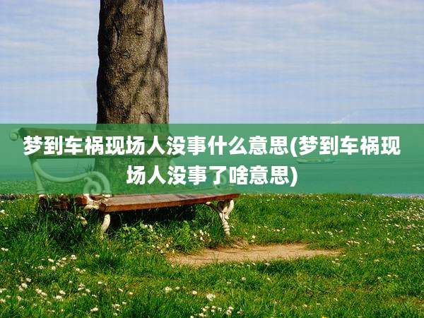 梦到车祸现场人没事什么意思(梦到车祸现场人没事了啥意思)