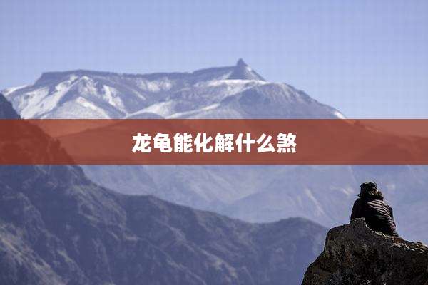 龙龟能化解什么煞
