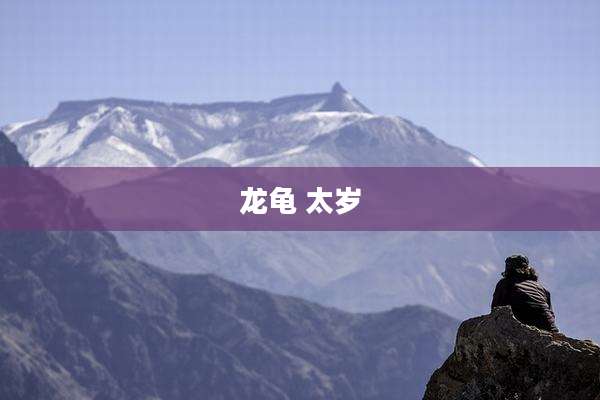 龙龟 太岁