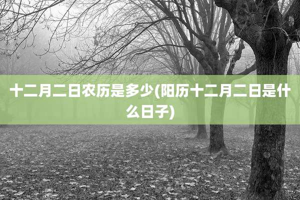 十二月二日农历是多少(阳历十二月二日是什么日子)