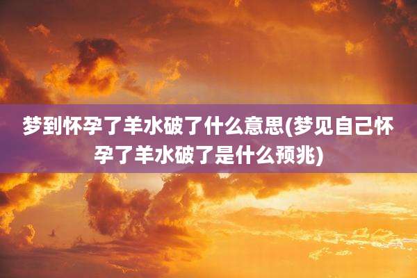 梦到怀孕了羊水破了什么意思(梦见自己怀孕了羊水破了是什么预兆)
