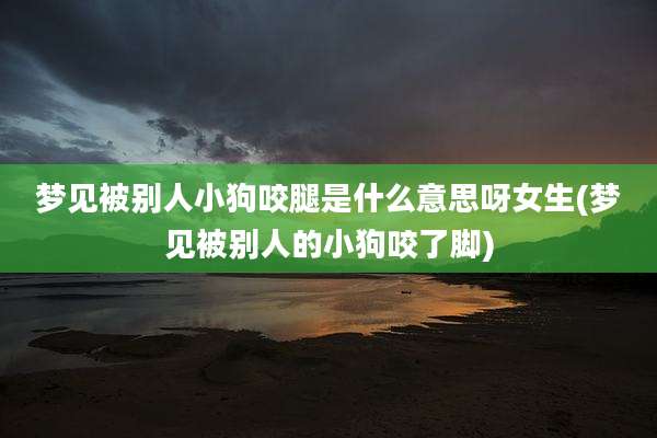 梦见被别人小狗咬腿是什么意思呀女生(梦见被别人的小狗咬了脚)