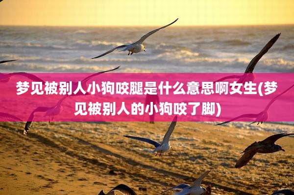 梦见被别人小狗咬腿是什么意思啊女生(梦见被别人的小狗咬了脚)