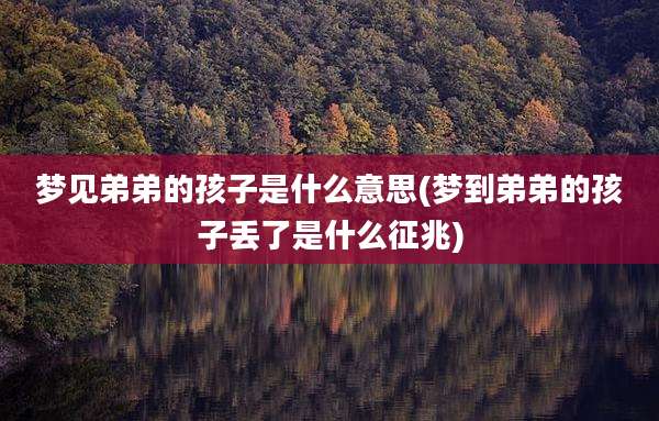 梦见弟弟的孩子是什么意思(梦到弟弟的孩子丢了是什么征兆)