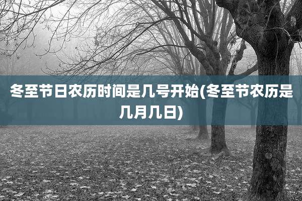 冬至节日农历时间是几号开始(冬至节农历是几月几日)