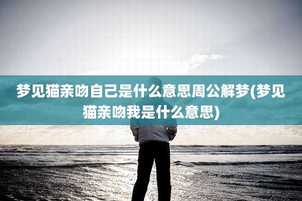 梦见猫亲吻自己是什么意思周公解梦(梦见猫亲吻我是什么意思)