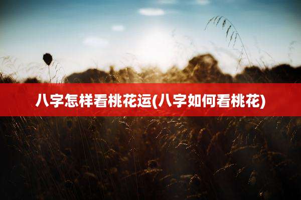 八字怎样看桃花运(八字如何看桃花)