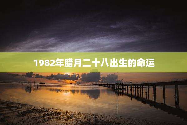 1982年腊月二十八出生的命运
