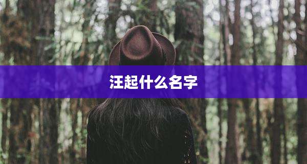 汪起什么名字