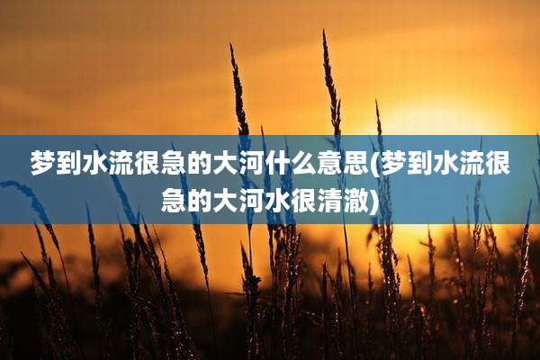 梦到水流很急的大河什么意思(梦到水流很急的大河水很清澈)