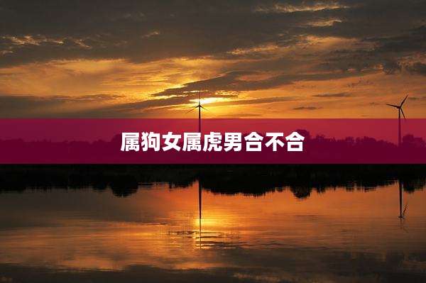 属狗女属虎男合不合