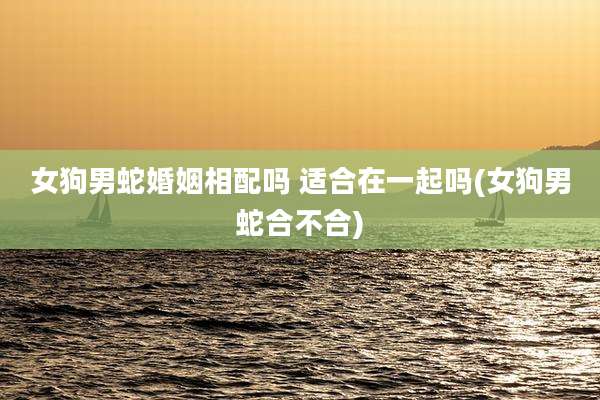 女狗男蛇婚姻相配吗 适合在一起吗(女狗男蛇合不合)