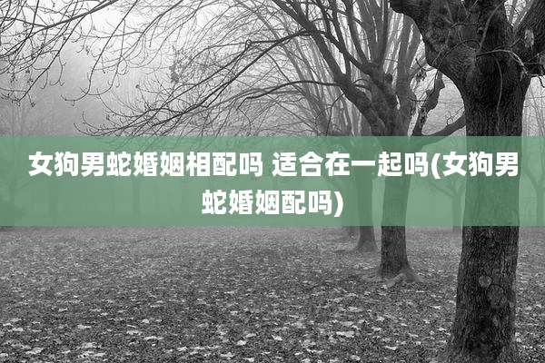 女狗男蛇婚姻相配吗 适合在一起吗(女狗男蛇婚姻配吗)