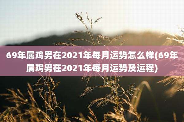 69年属鸡男在2021年每月运势怎么样(69年属鸡男在2021年每月运势及运程)