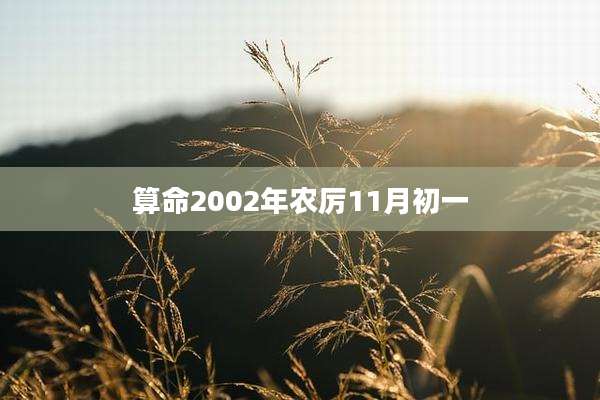 算命2002年农厉11月初一