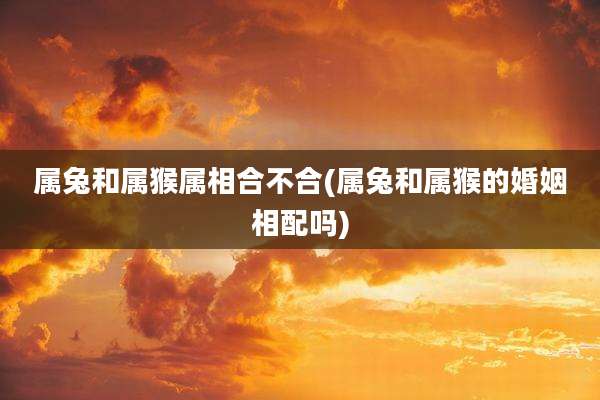 属兔和属猴属相合不合(属兔和属猴的婚姻相配吗)