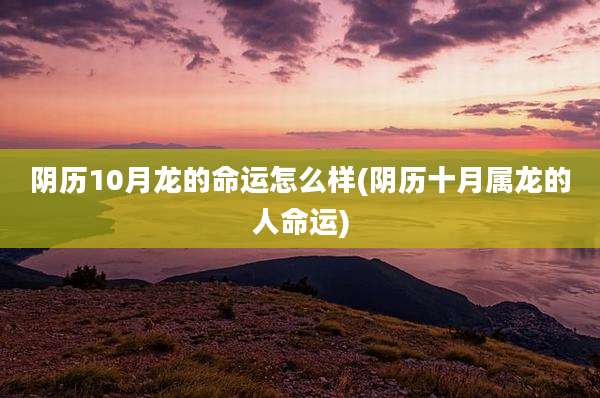 阴历10月龙的命运怎么样(阴历十月属龙的人命运)