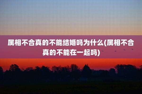 属相不合真的不能结婚吗为什么(属相不合真的不能在一起吗)