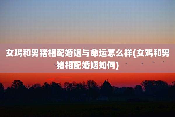 女鸡和男猪相配婚姻与命运怎么样(女鸡和男猪相配婚姻如何)