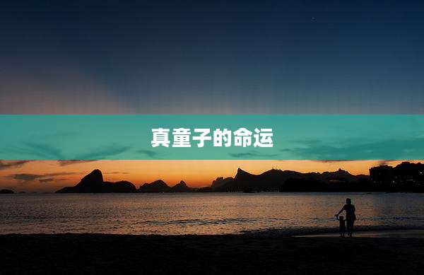 真童子的命运