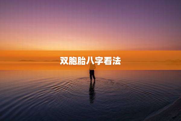 双胞胎八字看法