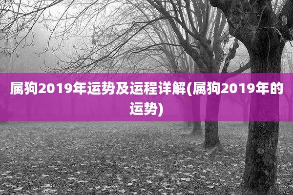 属狗2019年运势及运程详解(属狗2019年的运势)