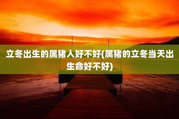 立冬出生的属猪人好不好(属猪的立冬当天出生命好不好)