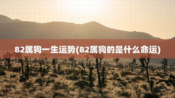 82属狗一生运势(82属狗的是什么命运)