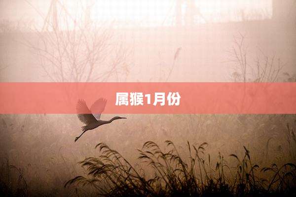 属猴1月份