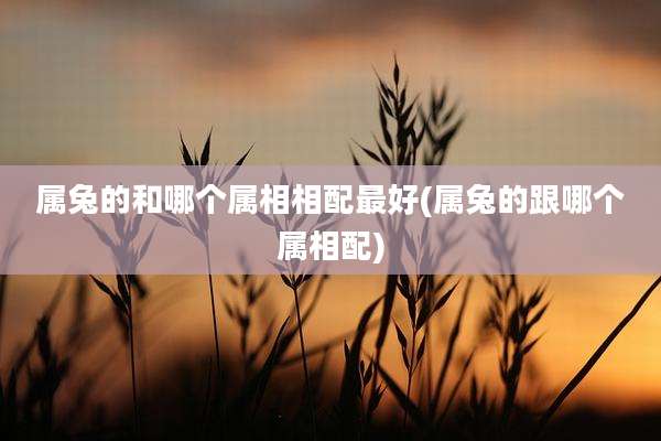 属兔的和哪个属相相配最好(属兔的跟哪个属相配)
