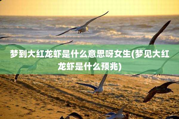 梦到大红龙虾是什么意思呀女生(梦见大红龙虾是什么预兆)