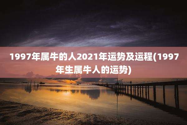 1997年属牛的人2021年运势及运程(1997年生属牛人的运势)