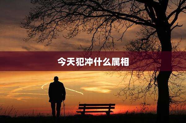 今天犯冲什么属相