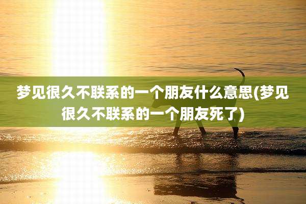 梦见很久不联系的一个朋友什么意思(梦见很久不联系的一个朋友死了)