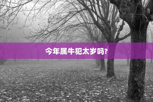 今年属牛犯太岁吗?