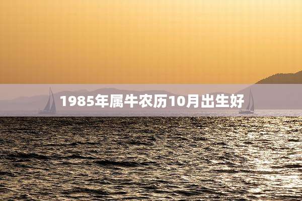 1985年属牛农历10月出生好