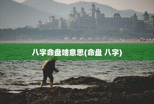 八字命盘啥意思(命盘 八字)