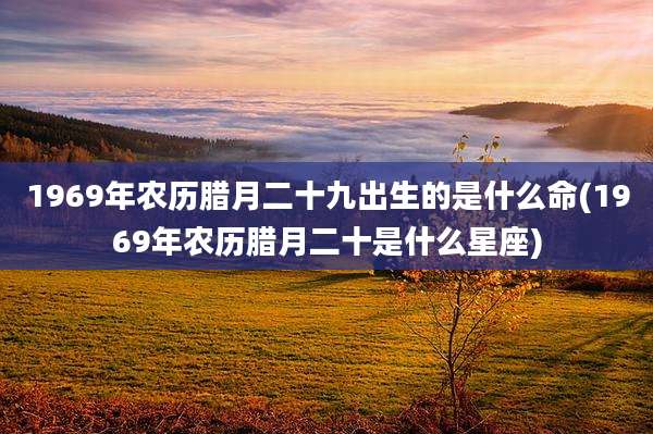 1969年农历腊月二十九出生的是什么命(1969年农历腊月二十是什么星座)