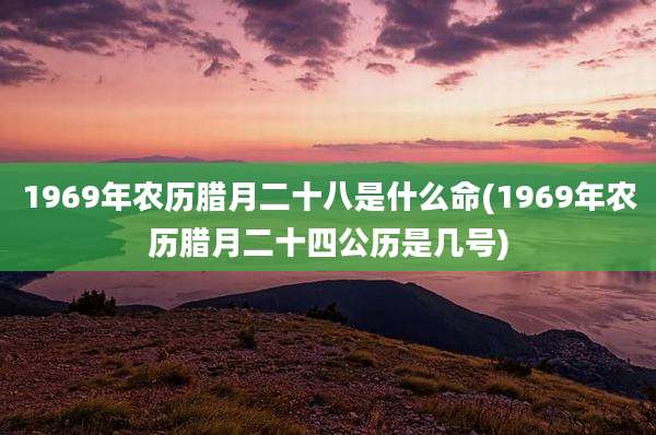 1969年农历腊月二十八是什么命(1969年农历腊月二十四公历是几号)