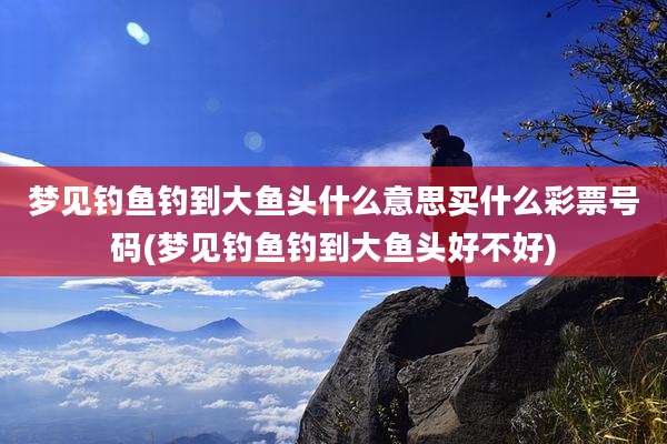 梦见钓鱼钓到大鱼头什么意思买什么彩票号码(梦见钓鱼钓到大鱼头好不好)