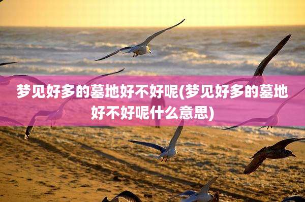 梦见好多的墓地好不好呢(梦见好多的墓地好不好呢什么意思)
