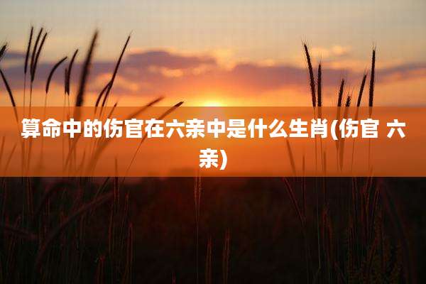 算命中的伤官在六亲中是什么生肖(伤官 六亲)