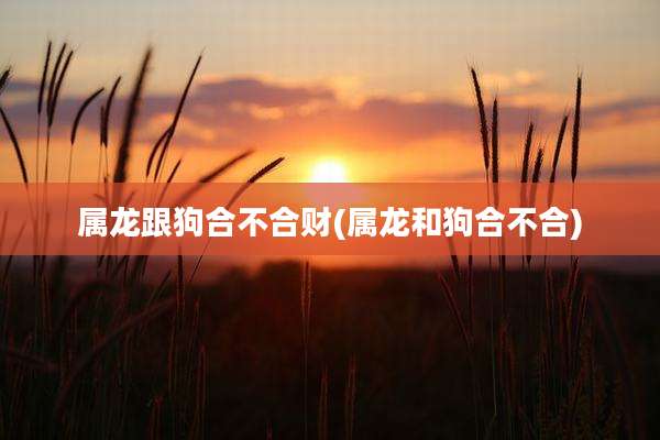 属龙跟狗合不合财(属龙和狗合不合)