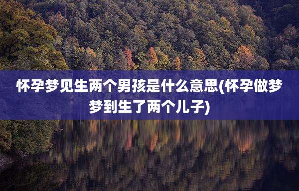 怀孕梦见生两个男孩是什么意思(怀孕做梦梦到生了两个儿子)