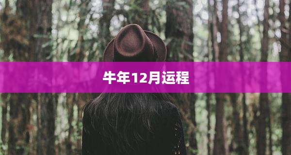 牛年12月运程