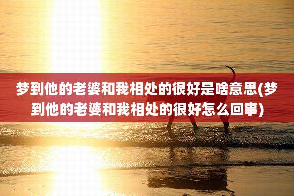 梦到他的老婆和我相处的很好是啥意思(梦到他的老婆和我相处的很好怎么回事)